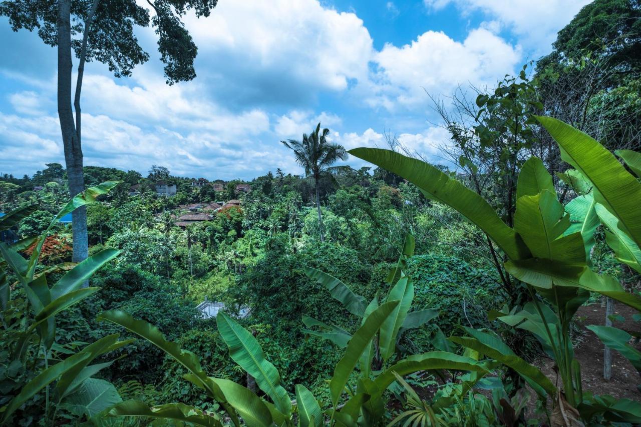 Murni'S Houses & Spa Ubud Buitenkant foto